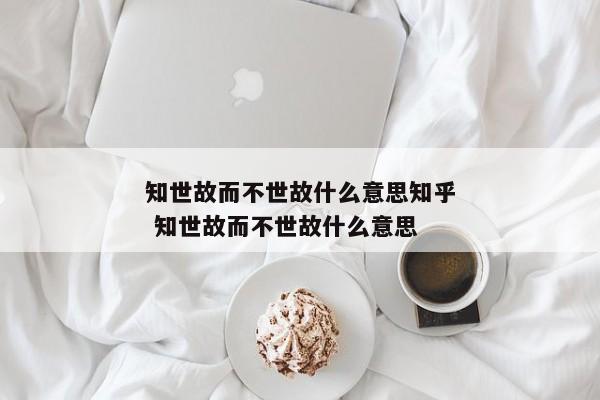 知世故而不世故什么意思知乎 知世故而不世故什么意思