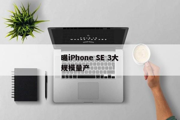 曝iPhone SE 3大规模量产