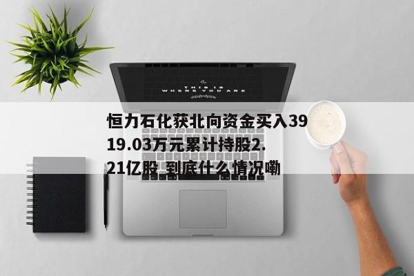 恒力石化获北向资金买入3919.03万元累计持股2.21亿股 到底什么情况嘞