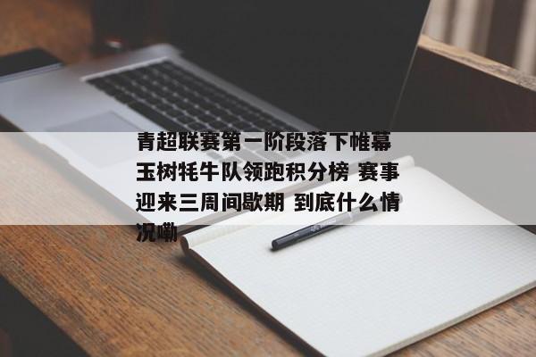 青超联赛第一阶段落下帷幕 玉树牦牛队领跑积分榜 赛事迎来三周间歇期 到底什么情况嘞