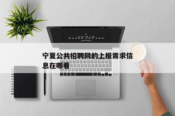 宁夏公共招聘网的上报需求信息在哪看