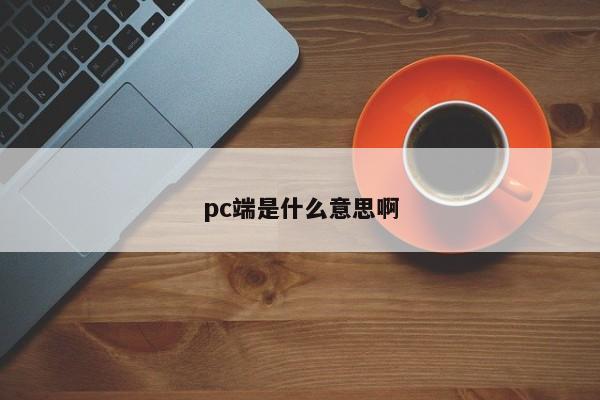 pc端是什么意思啊