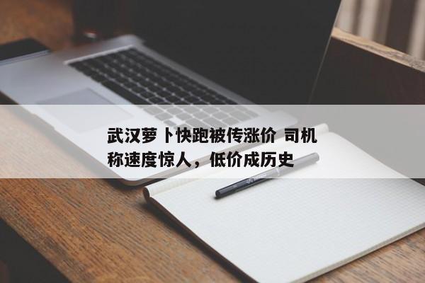 武汉萝卜快跑被传涨价 司机称速度惊人，低价成历史