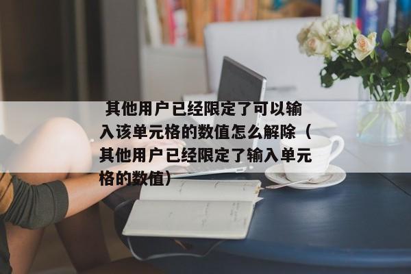  其他用户已经限定了可以输入该单元格的数值怎么解除（其他用户已经限定了输入单元格的数值） 