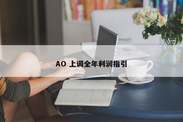  AO 上调全年利润指引 