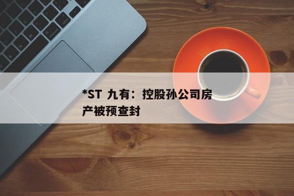 *ST 九有：控股孙公司房产被预查封