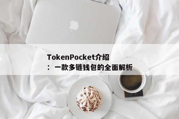 TokenPocket介绍：一款多链钱包的全面解析
