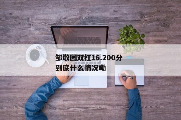 邹敬园双杠16.200分 到底什么情况嘞