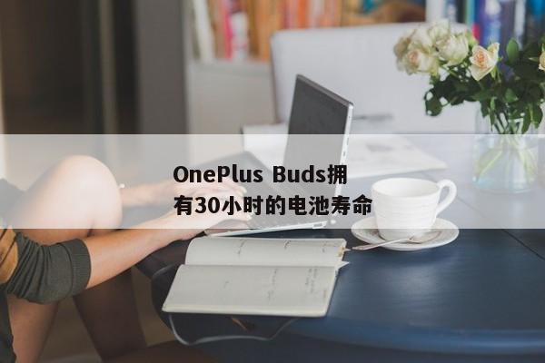 OnePlus Buds拥有30小时的电池寿命
