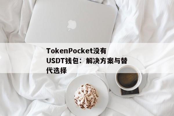 TokenPocket没有USDT钱包：解决方案与替代选择