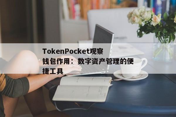 TokenPocket观察钱包作用：数字资产管理的便捷工具