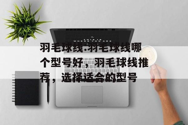 羽毛球线:羽毛球线哪个型号好，羽毛球线推荐，选择适合的型号，羽毛球线型号选择与推荐