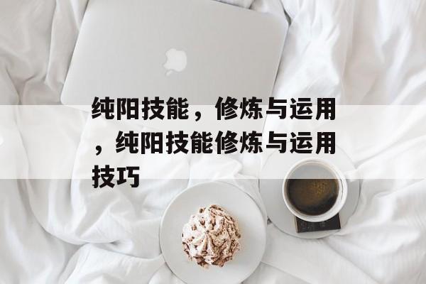 纯阳技能，修炼与运用，纯阳技能修炼与运用技巧