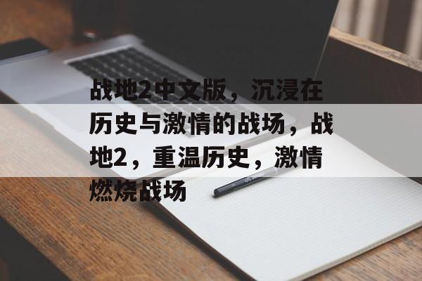 战地2中文版，沉浸在历史与激情的战场，战地2，重温历史，激情燃烧战场