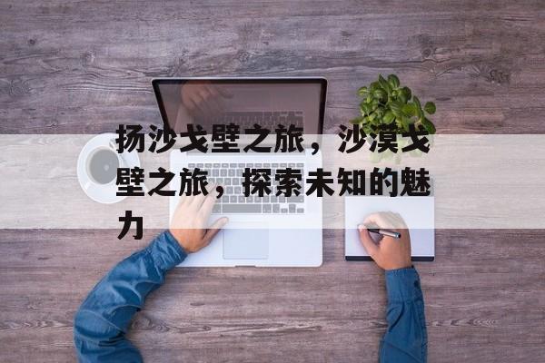扬沙戈壁之旅，沙漠戈壁之旅，探索未知的魅力