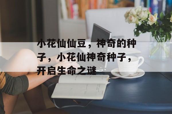 小花仙仙豆，神奇的种子，小花仙神奇种子，开启生命之谜
