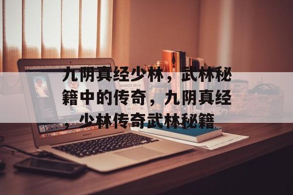 九阴真经少林，武林秘籍中的传奇，九阴真经，少林传奇武林秘籍