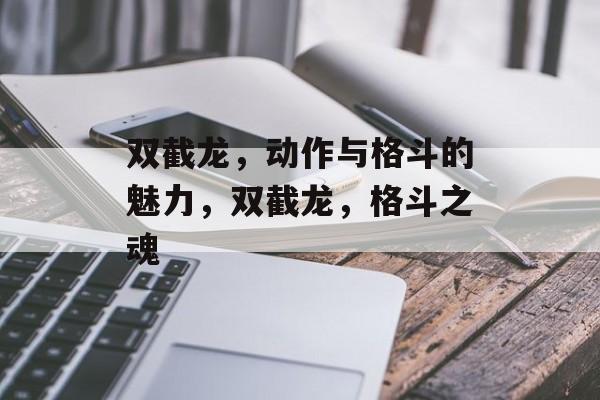 双截龙，动作与格斗的魅力，双截龙，格斗之魂