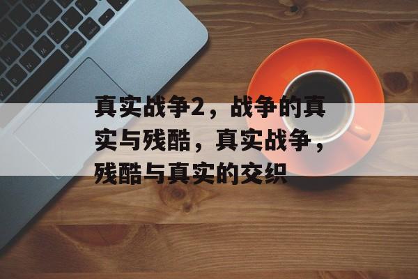 真实战争2，战争的真实与残酷，真实战争，残酷与真实的交织