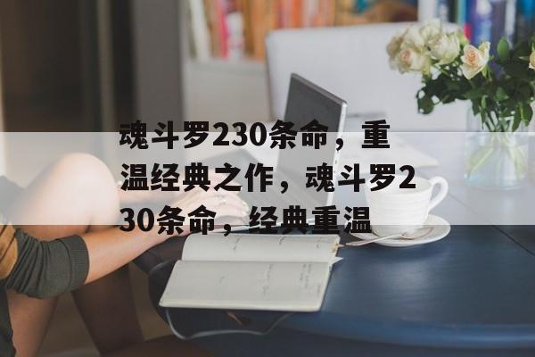 魂斗罗230条命，重温经典之作，魂斗罗230条命，经典重温