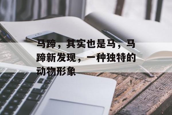 马蹄，其实也是马，马蹄新发现，一种独特的动物形象