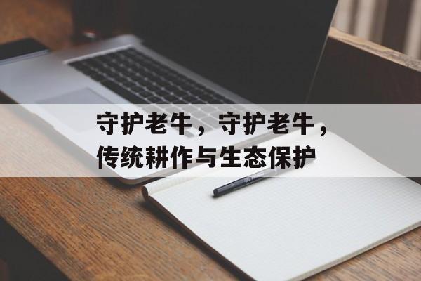 守护老牛，守护老牛，传统耕作与生态保护，耕作与生态保护，守护老牛的传统智慧