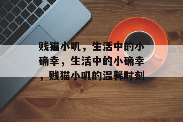 贱猫小叽，生活中的小确幸，生活中的小确幸，贱猫小叽的温馨时刻