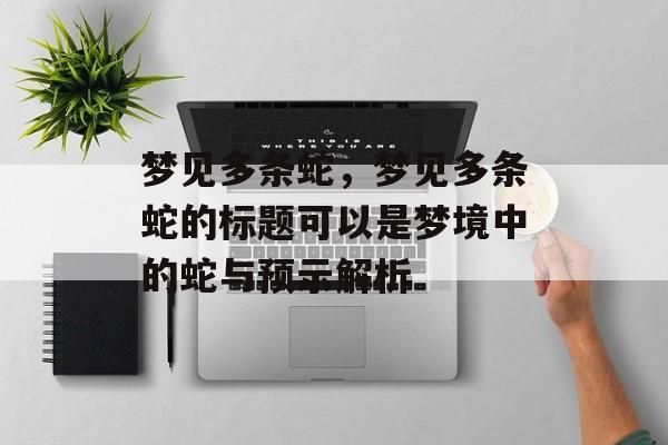 梦见多条蛇，梦见多条蛇的标题可以是梦境中的蛇与预示解析