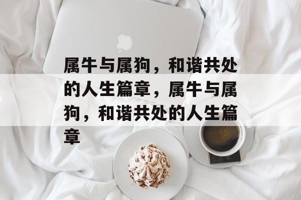 属牛与属狗，和谐共处的人生篇章，属牛与属狗，和谐共处的人生篇章
