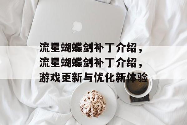 流星蝴蝶剑补丁介绍，流星蝴蝶剑补丁介绍，游戏更新与优化新体验，流星蝴蝶剑补丁揭秘，游戏更新与优化新体验