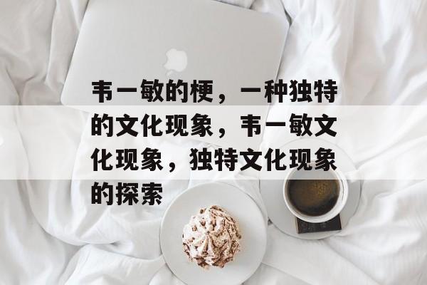 韦一敏的梗，一种独特的文化现象，韦一敏文化现象，独特文化现象的探索