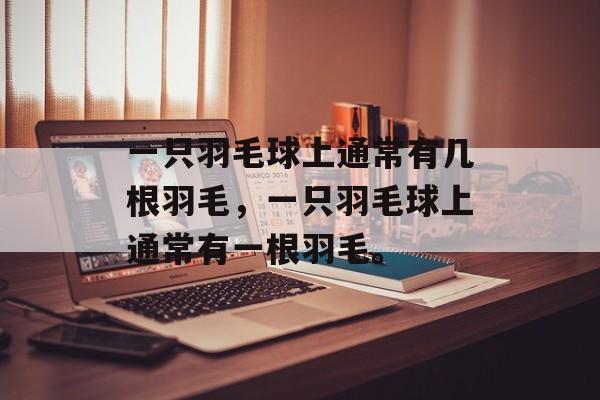 一只羽毛球上通常有几根羽毛，一只羽毛球上通常有一根羽毛。