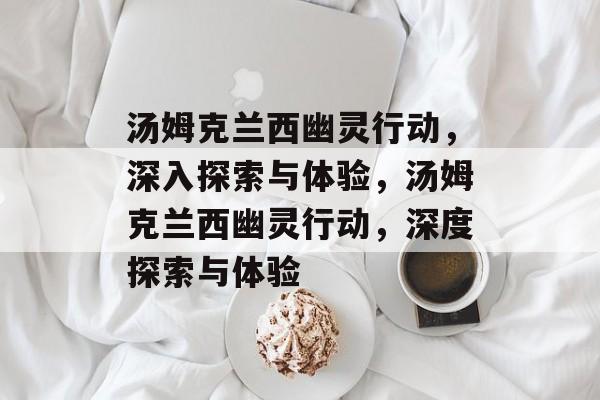 汤姆克兰西幽灵行动，深入探索与体验，汤姆克兰西幽灵行动，深度探索与体验