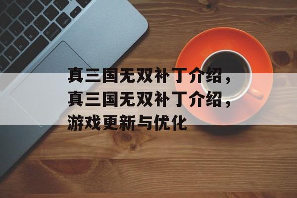 真三国无双补丁介绍，真三国无双补丁介绍，游戏更新与优化