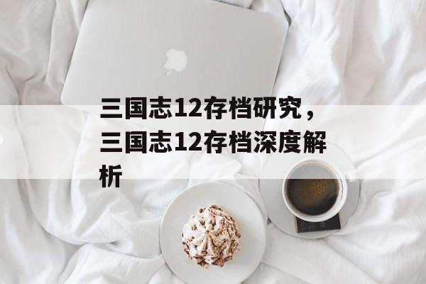 三国志12存档研究，三国志12存档深度解析，深入解析三国志12存档，存档管理与游戏体验