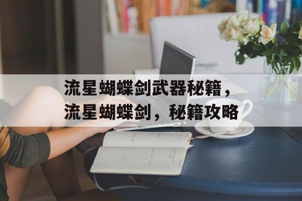 流星蝴蝶剑武器秘籍，流星蝴蝶剑，秘籍攻略