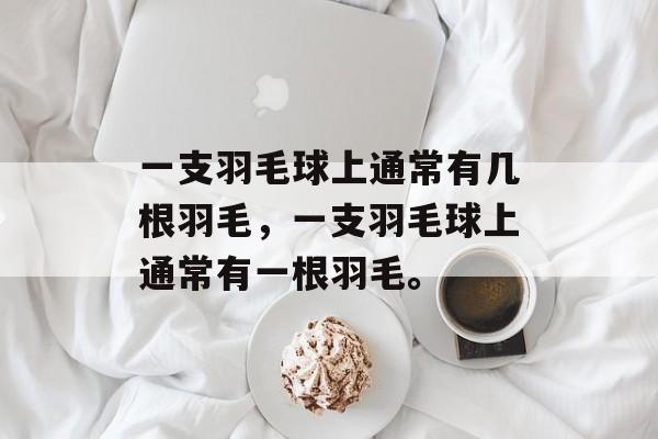 一支羽毛球上通常有几根羽毛，一支羽毛球上通常有一根羽毛。