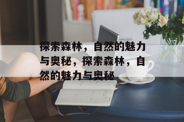 探索森林，自然的魅力与奥秘，探索森林，自然的魅力与奥秘，揭秘森林，探索自然的神秘与魅力