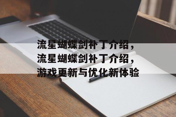 流星蝴蝶剑补丁介绍，流星蝴蝶剑补丁介绍，游戏更新与优化新体验，流星蝴蝶剑补丁揭秘，游戏更新与优化新体验