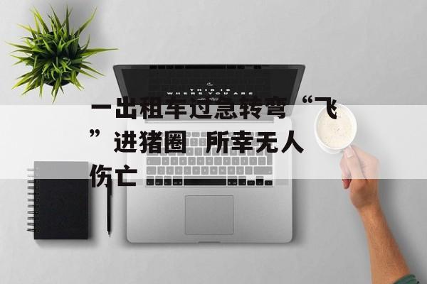 一出租车过急转弯“飞”进猪圈  所幸无人伤亡