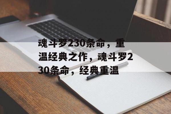 魂斗罗230条命，重温经典之作，魂斗罗230条命，经典重温