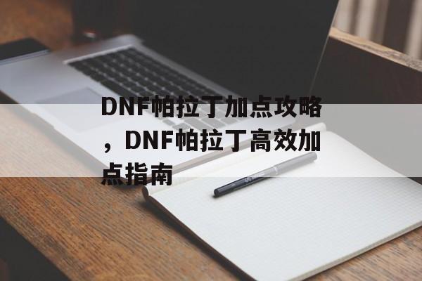 DNF帕拉丁加点攻略，DNF帕拉丁高效加点指南，DNF帕拉丁高效加点指南