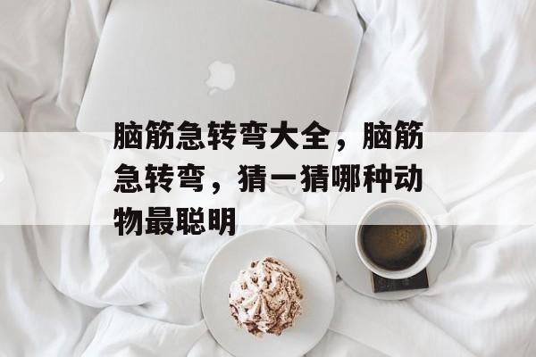 脑筋急转弯大全，脑筋急转弯，猜一猜哪种动物最聪明，谜题揭晓，最聪明的动物是什么？