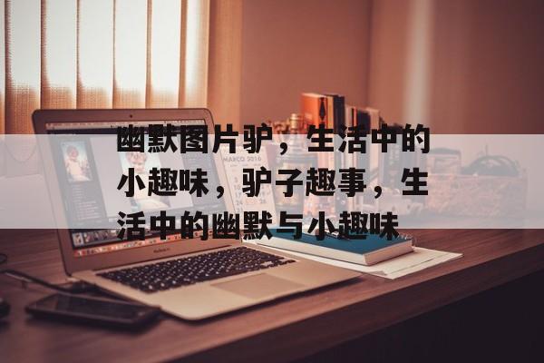 幽默图片驴，生活中的小趣味，驴子趣事，生活中的幽默与小趣味，驴子趣事，生活中的幽默与小趣味