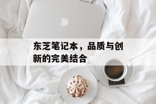 东芝笔记本，品质与创新的完美结合