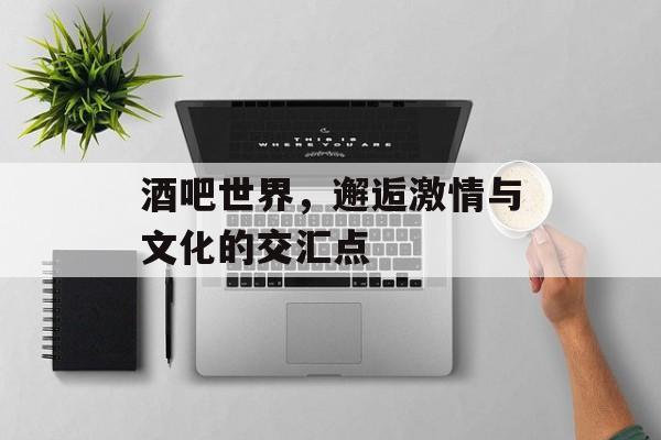 酒吧世界，邂逅激情与文化的交汇点