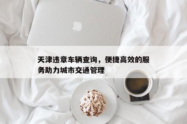 天津违章车辆查询，便捷高效的服务助力城市交通管理