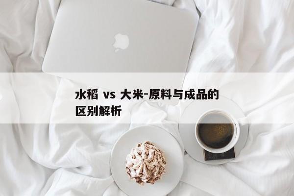 水稻 vs 大米-原料与成品的区别解析