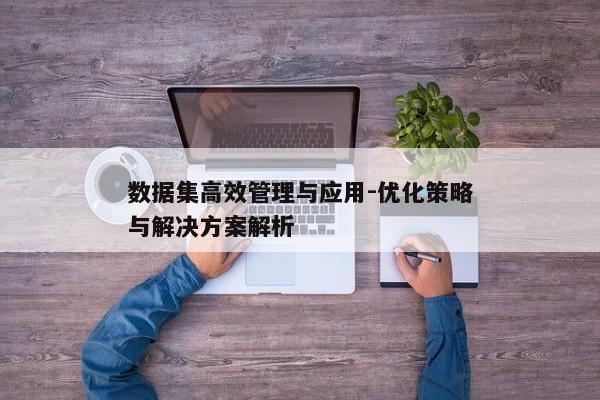 数据集高效管理与应用-优化策略与解决方案解析