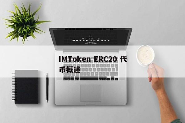 IMToken ERC20 代币概述